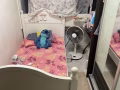 本屋地址，裕廊东, 卓源, 大牌278 女生小单人间 (Jurong East, Toh Guan, Blk 278)