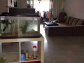 巴西立有女搭房出租