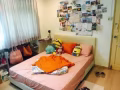 Tampines st 43 出租1或2 人普通房,沒房東