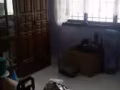 3+1 兀蘭大牌721 Woodlands Circle, 730721
