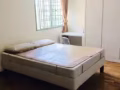 Lorong 31 Geylang camellia lodge，主人房出租