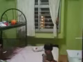 房间出租